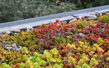 the cost of Fairseat green roof installation
